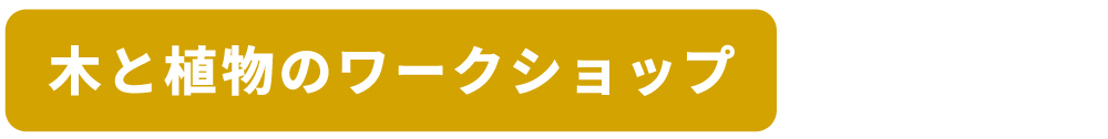 木と植物のワークショップ