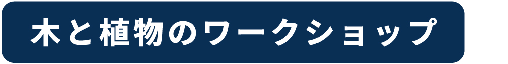 バナー_木と植物のワークショップ